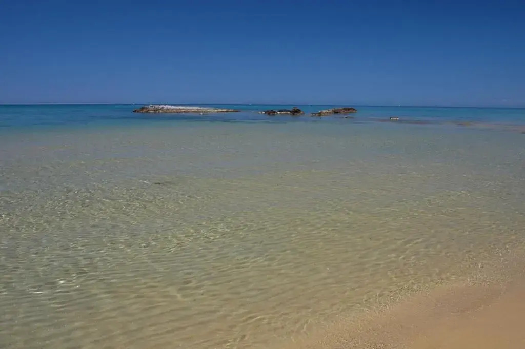 Sogno di Rena
