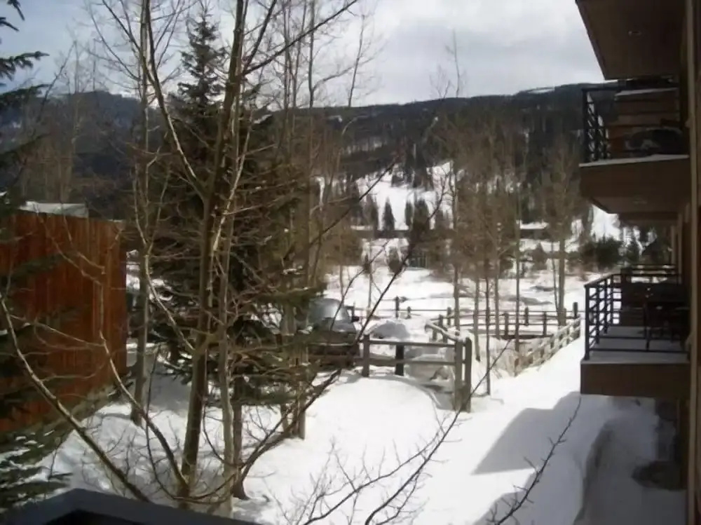 Snowdance Manor 403