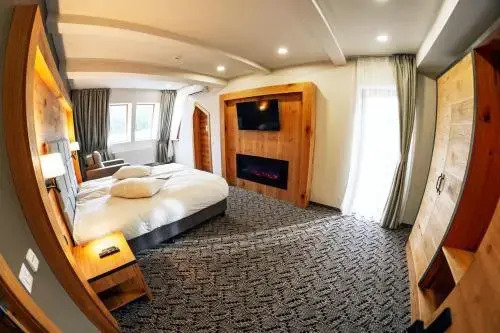 Popasul Domnesc- Resort& Spa- Voronet Vue