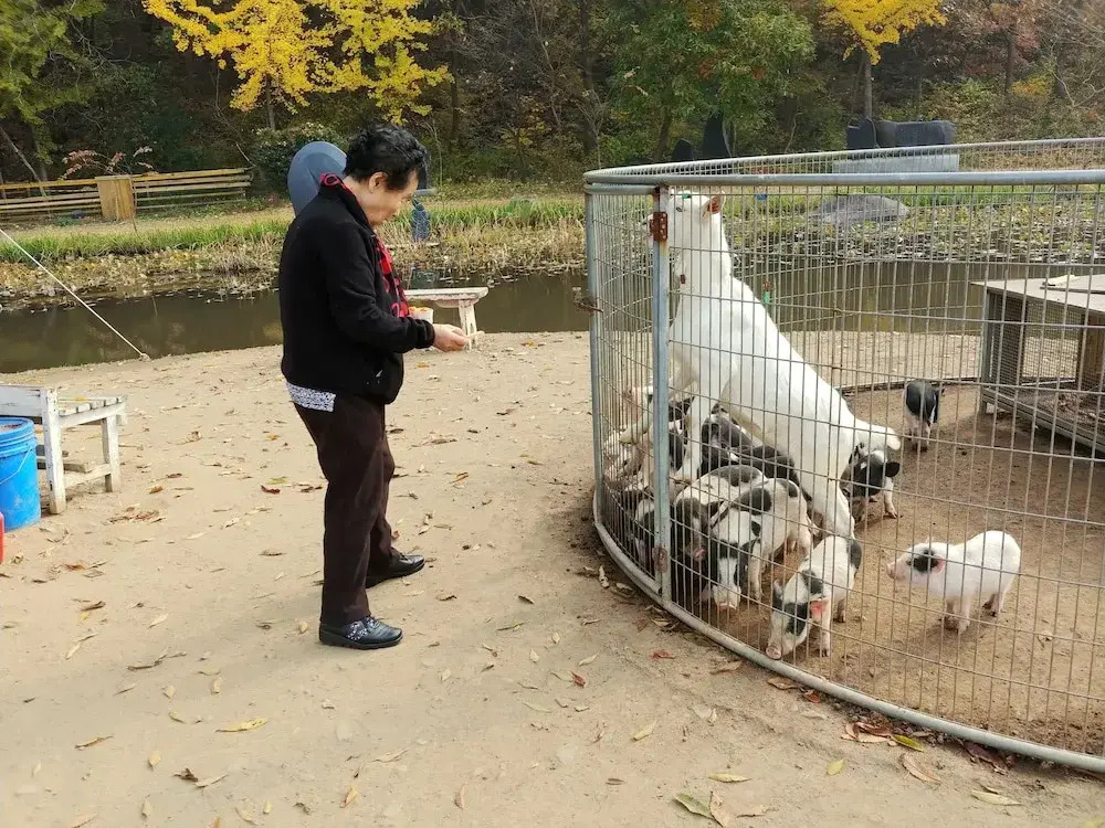 Boryeong Laon Pension