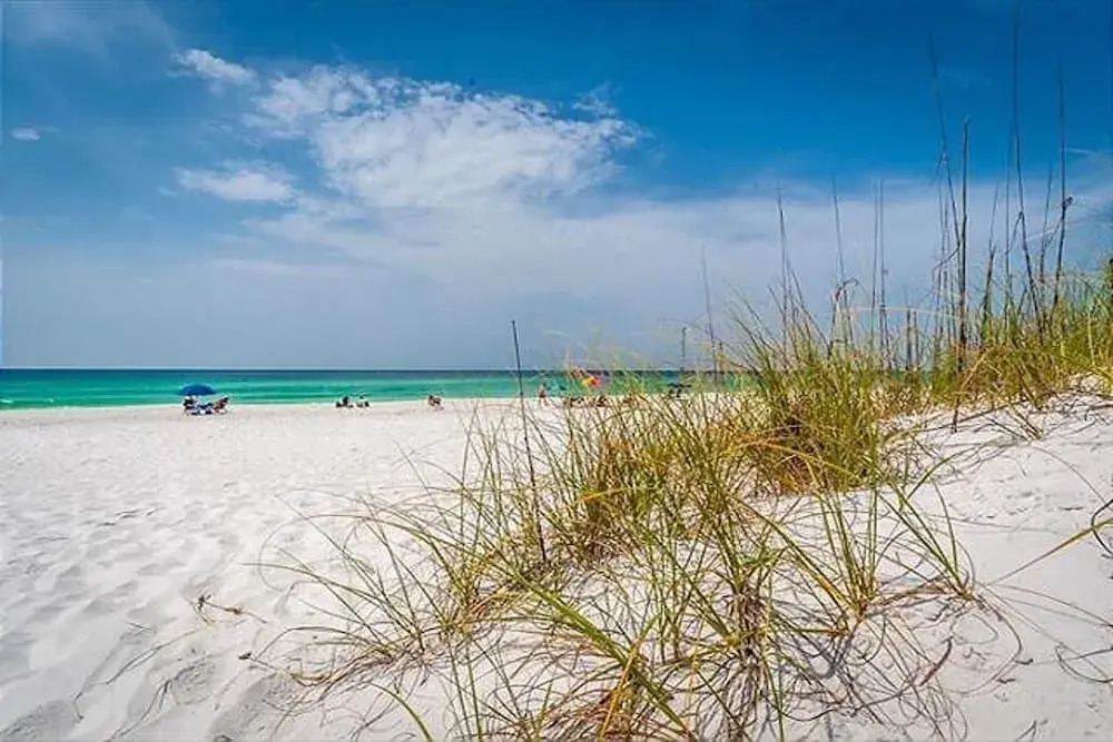 Seascape Ariel Dunes II 808 by RedAwning