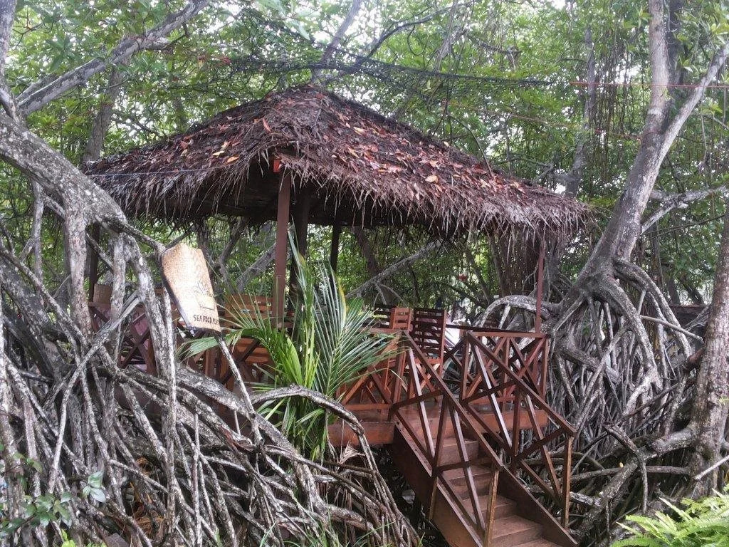THE Mangrove cave Hotel