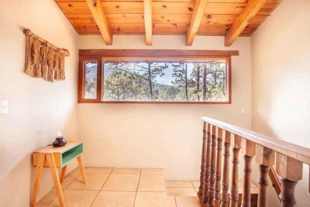 Casa en Medio del Bosque