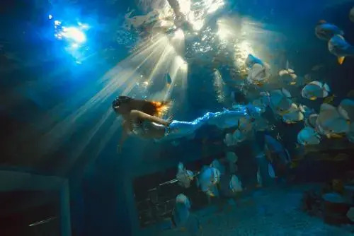 Big White Whale Ocean Exploration World