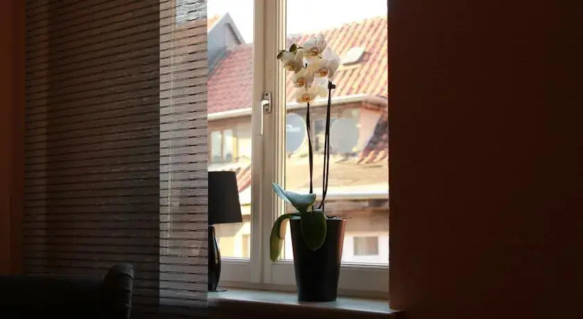 Ferienwohnungen Nikolaiblick