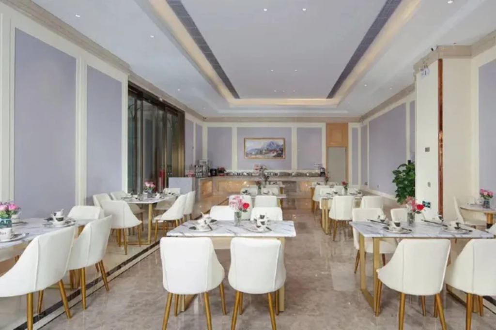 Vienna Hotel (Lingao Store)