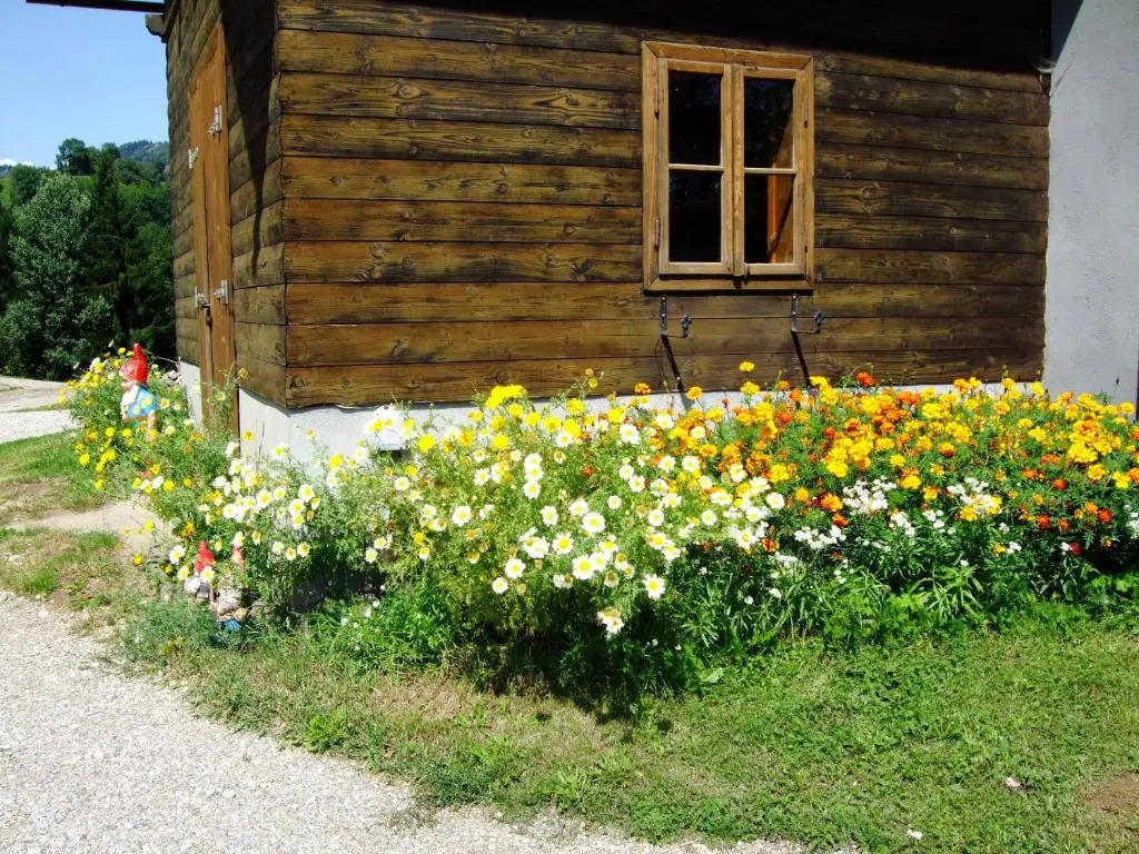 Ferienwohnungen Bauernhof Schilcher