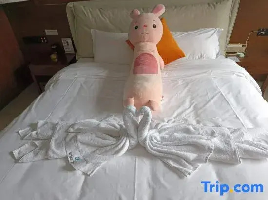 Nanyang Xingpan Wisdom Film & Video Apartment