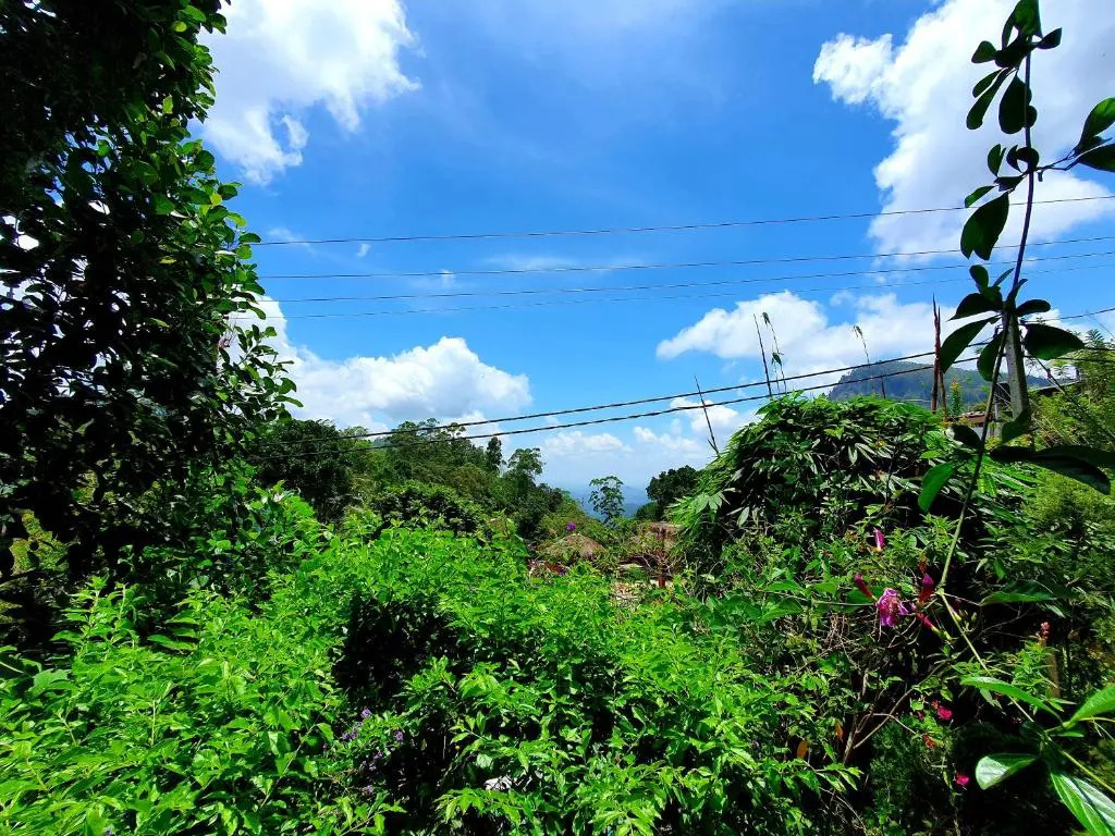 Sunbeam Homestay
