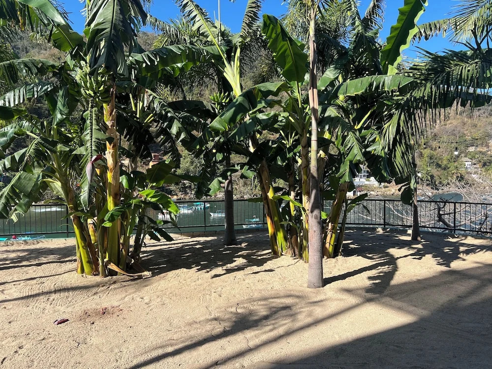 Family vacation home, 10 miles from downtown Pv romantic zone, ocean frontage