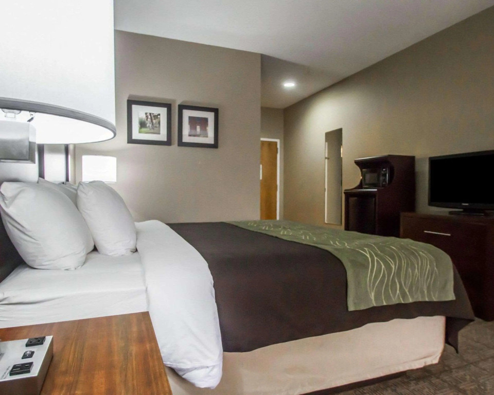 Comfort Inn Amite City