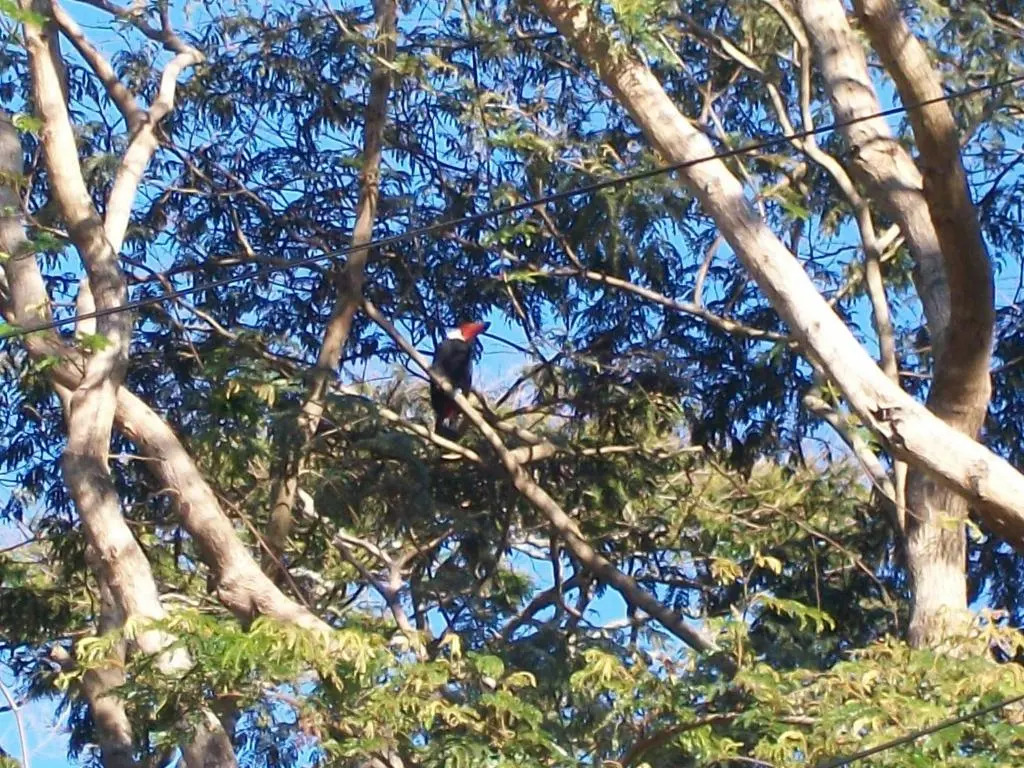 Pousada Luar do Sertão