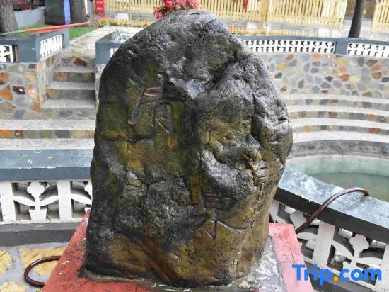 Beijing Paitu Qingquan farm