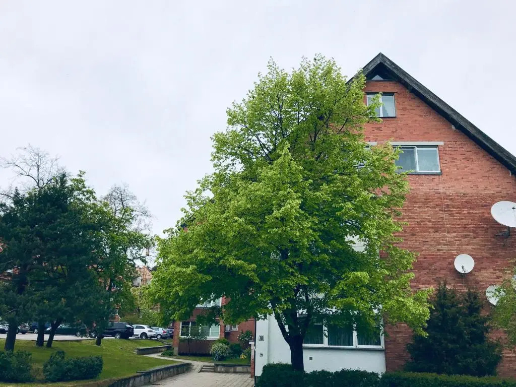 Apartamentai Dorė