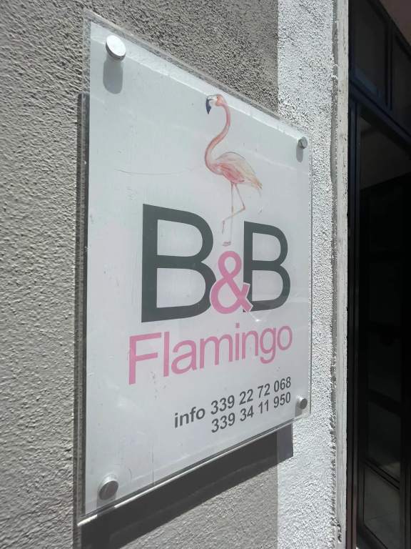 B&B Flamingo