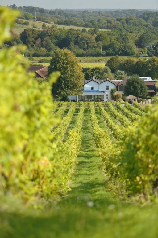 Denbies Farmhouse B&B