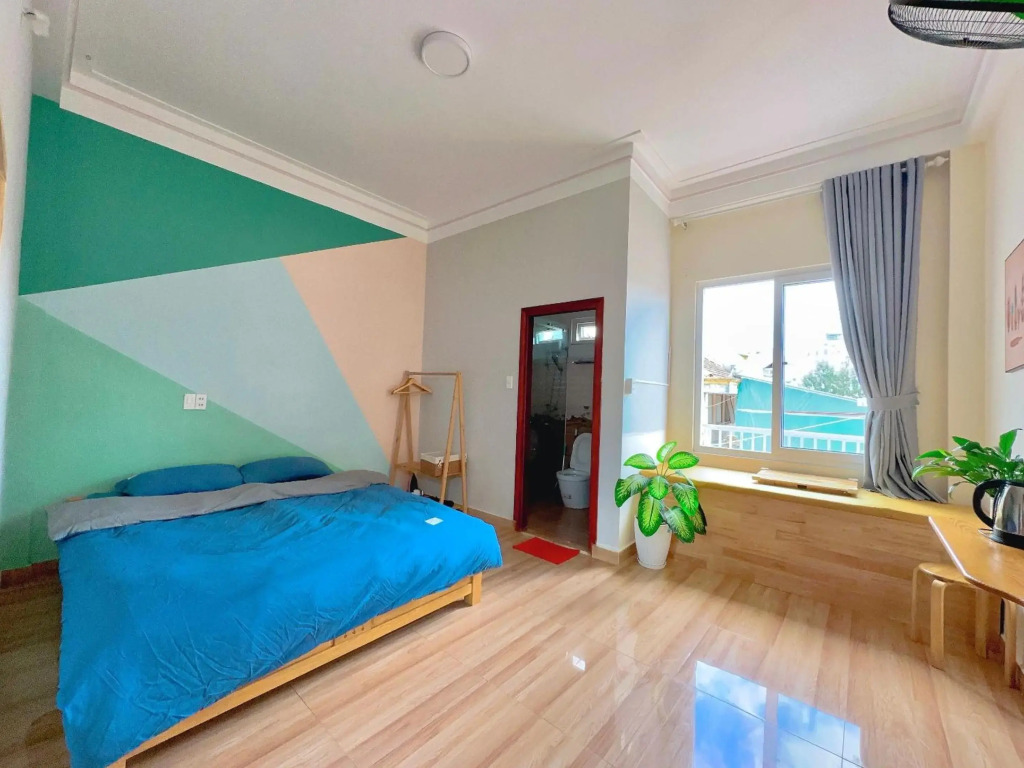 Nấm Home