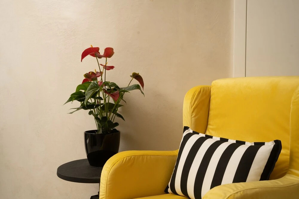 Gala Suites