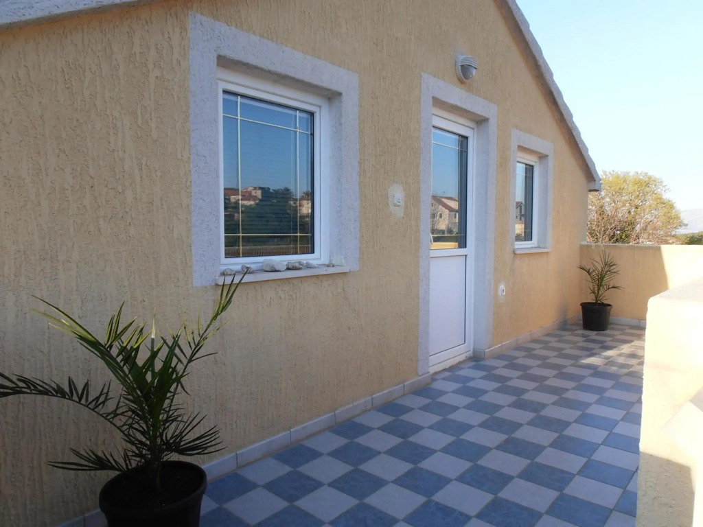 Jenny`s House