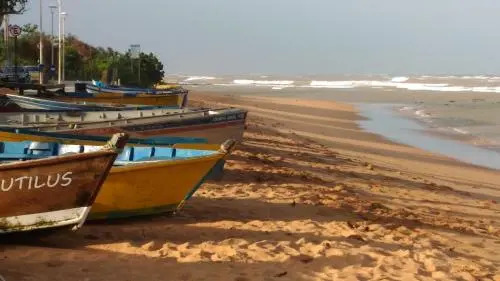 Eco Manguinhos