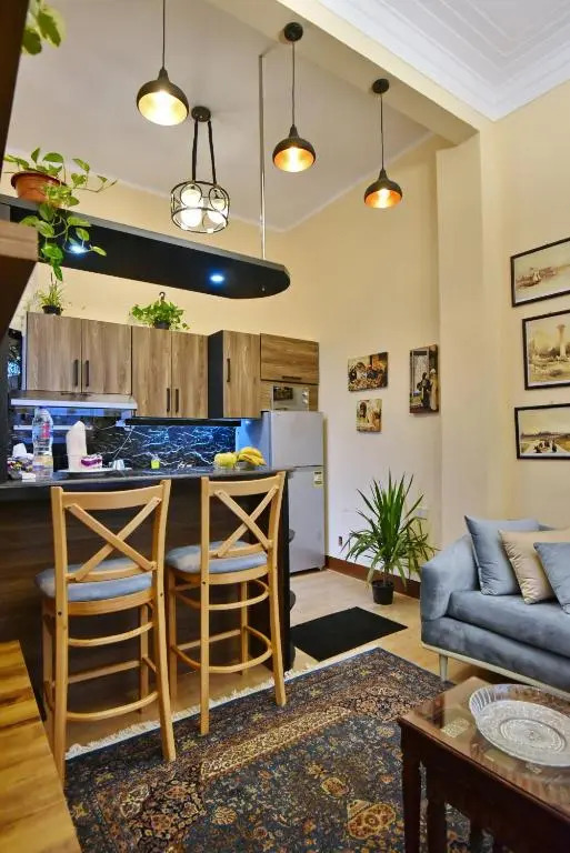 The Place 3 charming downtown apartment