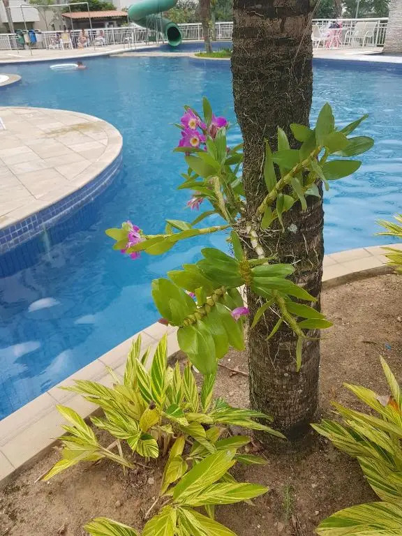 Riocentro Barra da Tijuca Praia