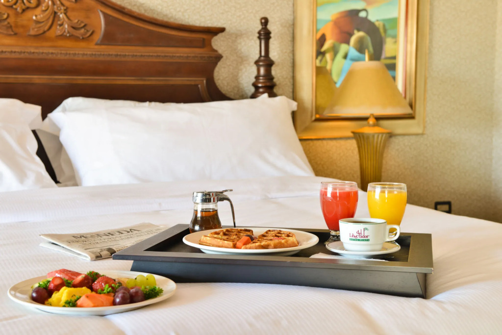 Hotel Plaza Del Libertador