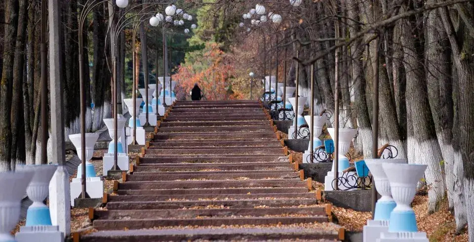 Курьи