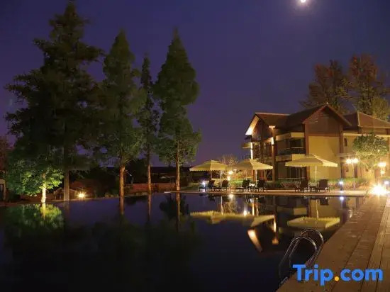 Tianyi Tea Homestay