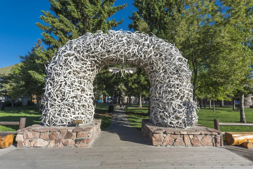 SpringHill Suites by Marriott Jackson Hole