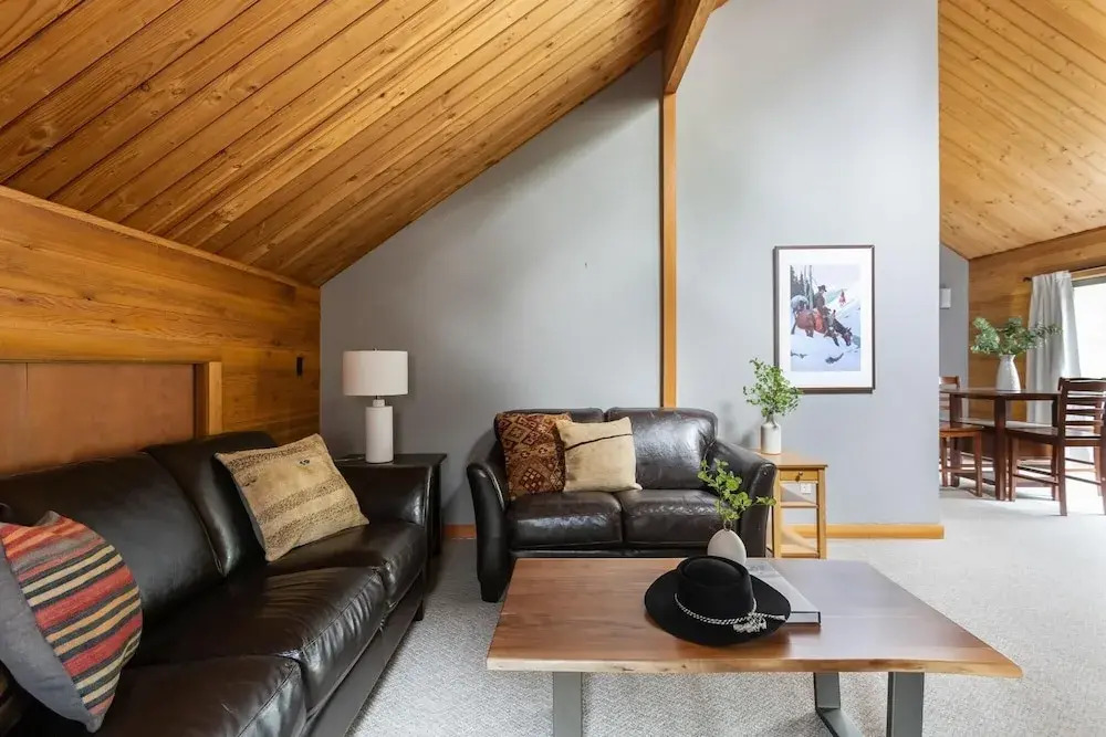 Salishan Lane - Skylight