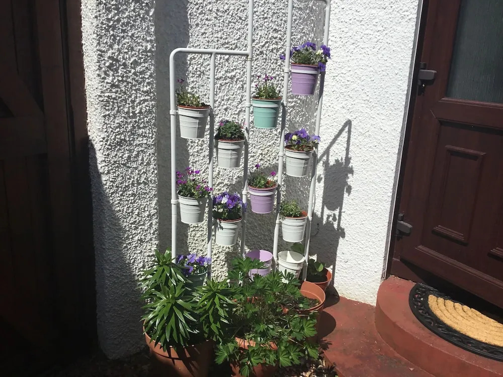 Ingleneuk Bed and Breakfast