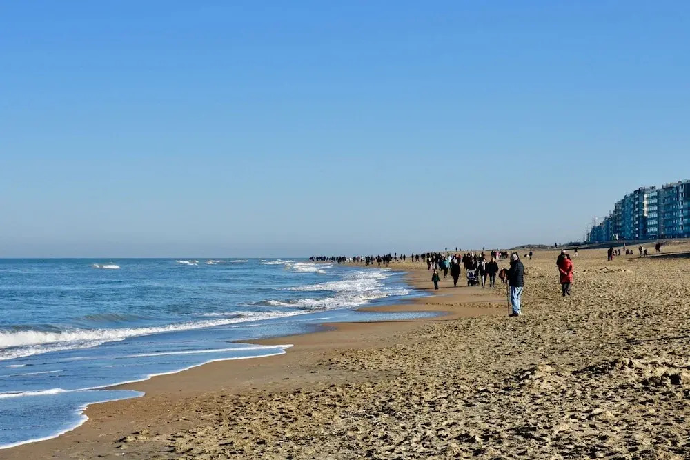 Sandsfoot