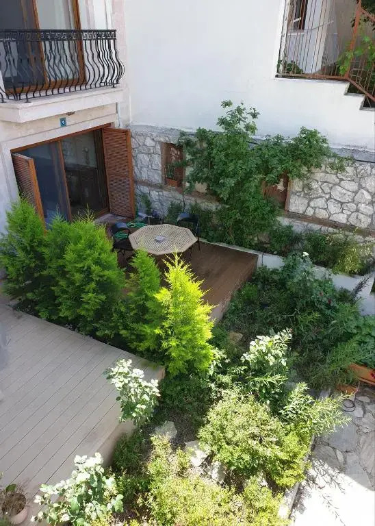 Olive apartments studio
