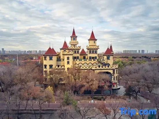 Harbin Sun Castle Resort Hotel (Ice and Snow World Branch on Central Street)