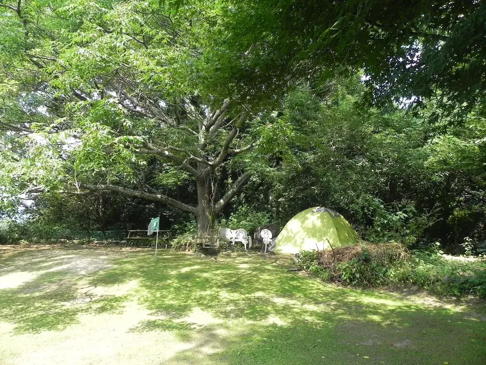 Alpha Eight - Hostel
