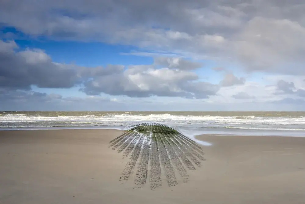 Sea Me If You Can