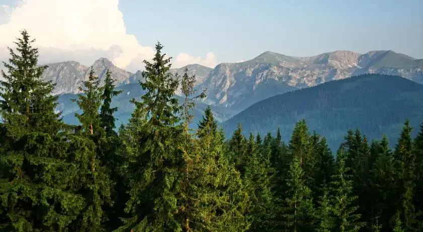 Apartament Widokowy Tatry Zakopane