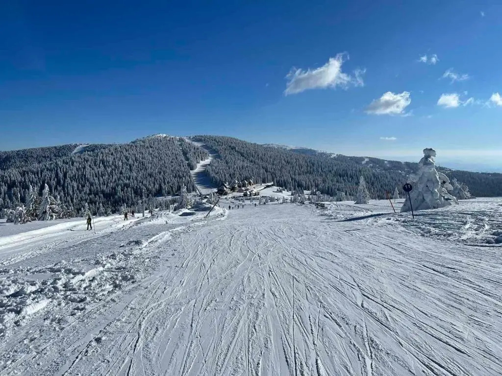 Ski&Spa Milmari L17