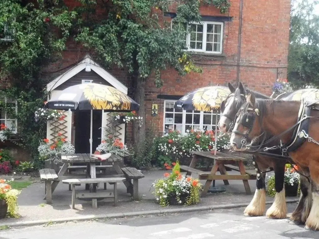 The Pear Tree