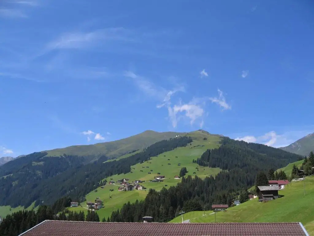 Honsnhof