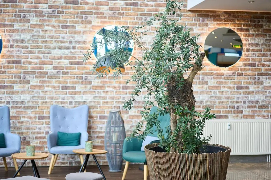 eXo Square Heidelberg-Schwetzingen - by SuperFly Hotels
