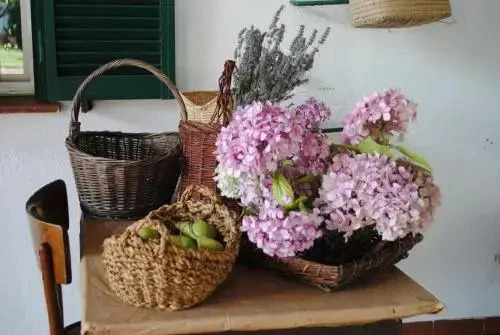 B&B Vallara