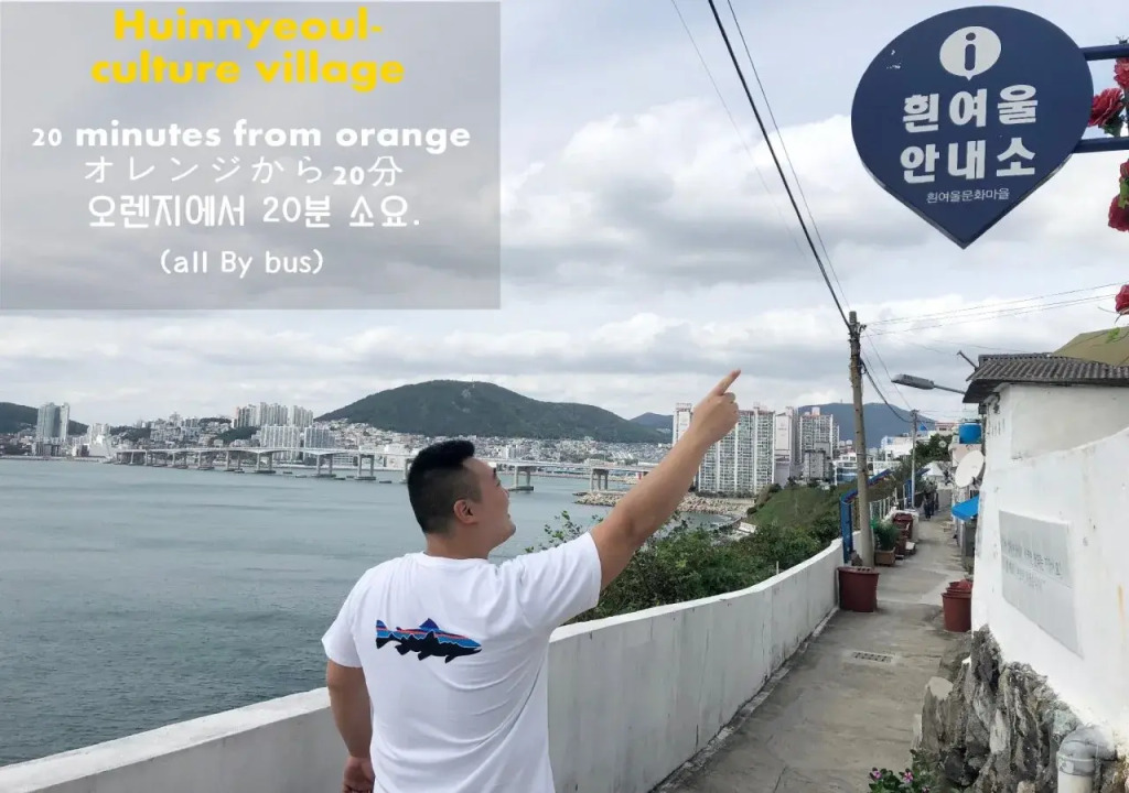 Orange Guesthouse - Hostel