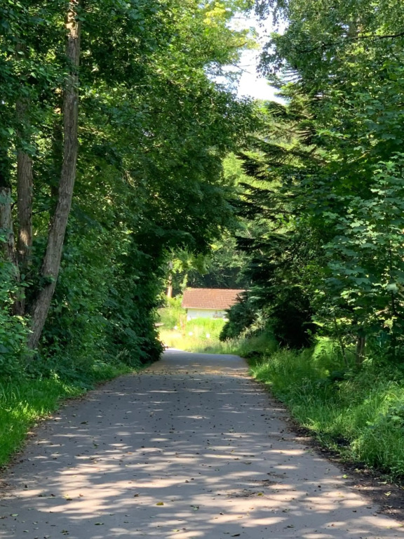 Waldmühle