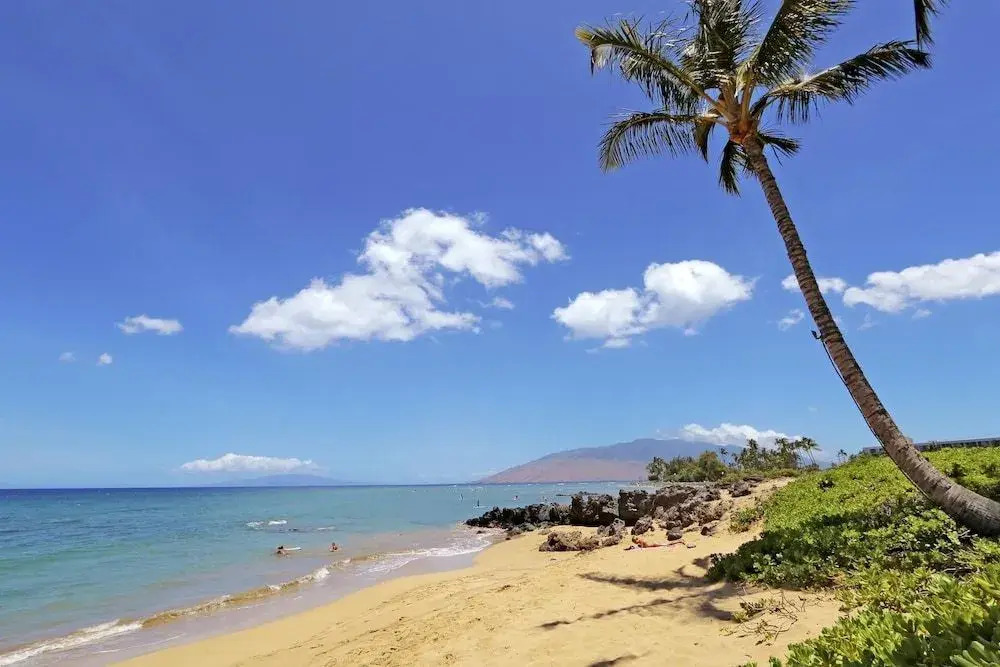 Ohana Hale #340607 - 2 Br Condo