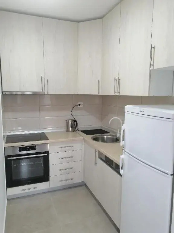 Apartment Nemanja