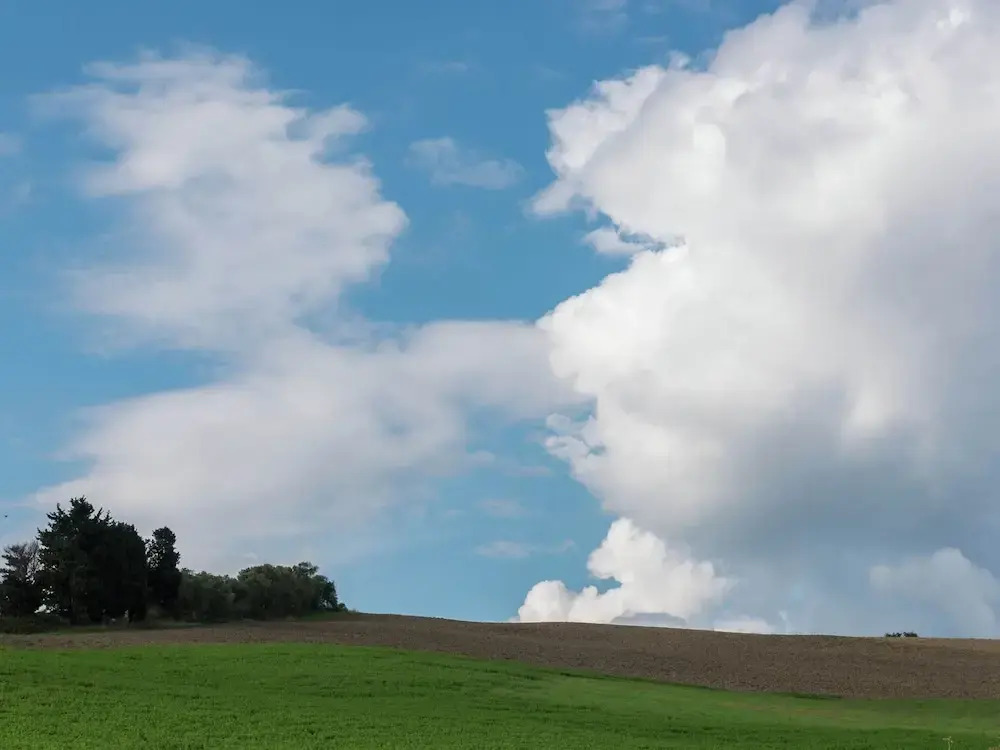 Escape in Rosignano Hills