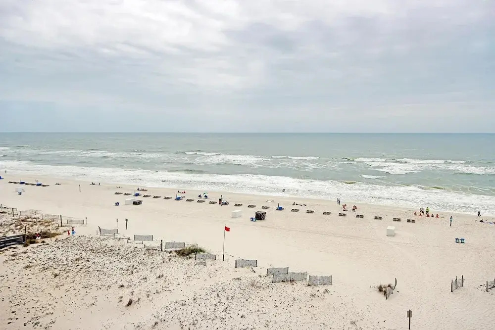 Boardwalk 684