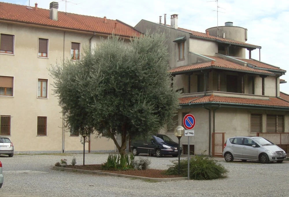 Il Nido di Tati